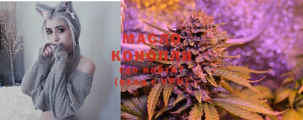 стаф Карабаш