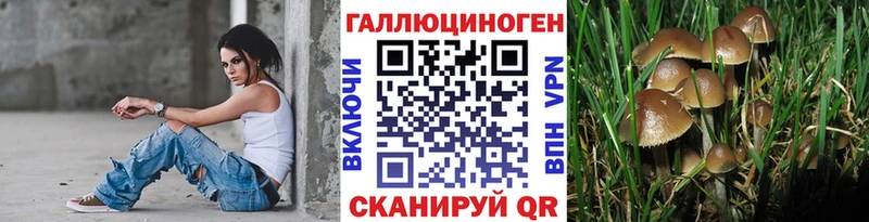 Галлюциногенные грибы MAGIC MUSHROOMS  хочу   маркетплейс формула  Киреевск 