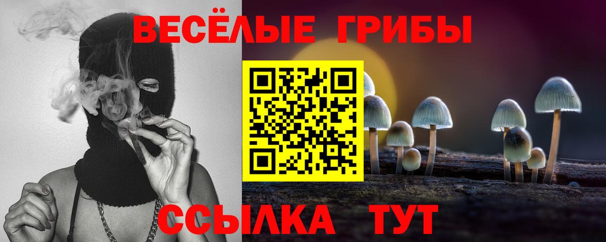 Галлюциногенные грибы прущие грибы  как найти   Вход с VPN  Киреевск  Псилоцибиновые грибы мицелий 