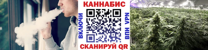 площадка телеграм  Киреевск  Шишки марихуана тримм 